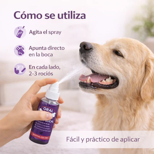 Elimina el mal aliento de tu mascota en segundos 🐾