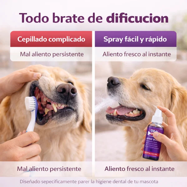 Elimina el mal aliento de tu mascota en segundos 🐾